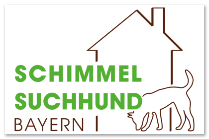 Schimmel Suchhund Bayern
